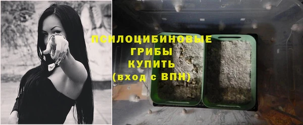 таблы Армянск