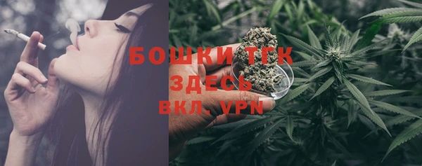 дживик Аркадак