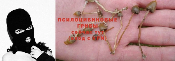 трава Арсеньев