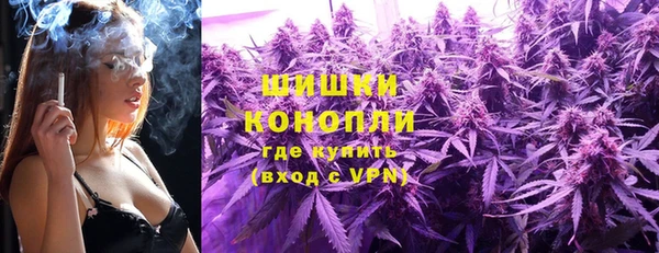 трава Арсеньев
