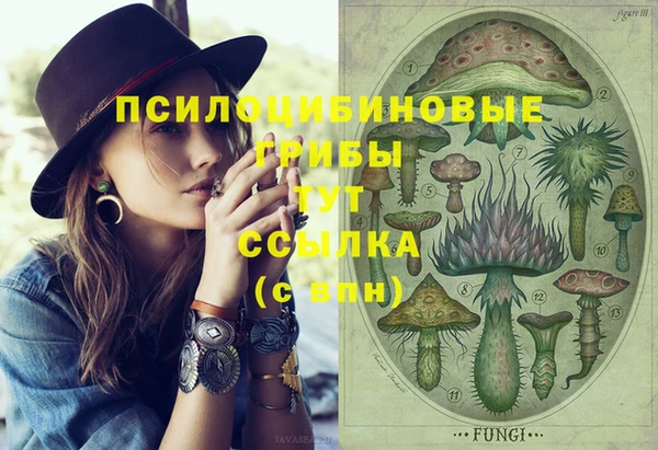 трава Арсеньев