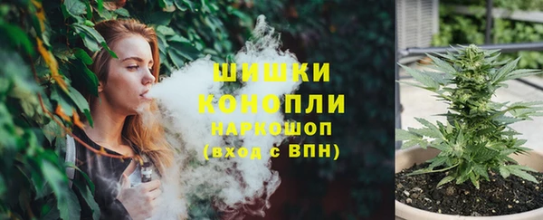дживик Аркадак