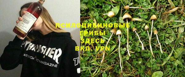 таблы Армянск