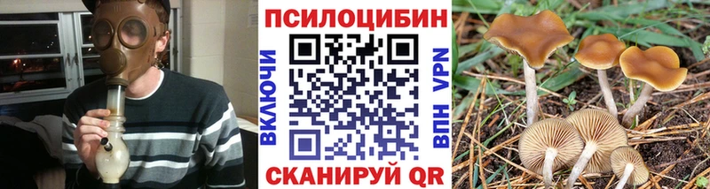 хочу   Пудож  Псилоцибиновые грибы Psilocybine cubensis 
